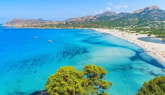 Corse